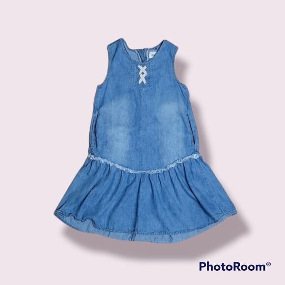 HUDSON CHAMBRAY DROPPED WAIST DRESS - Picture 1 of 7